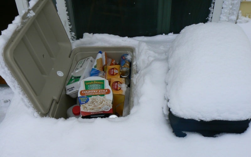 Can You Put a Freezer Outside in a Shed?