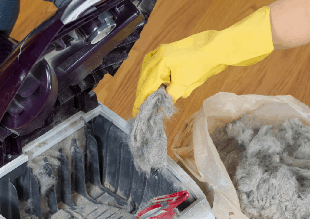 Why Miele Vacuum Smells Bad?