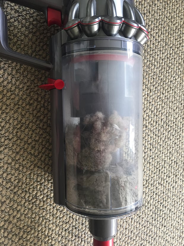Shark Vacuum Suction Problems