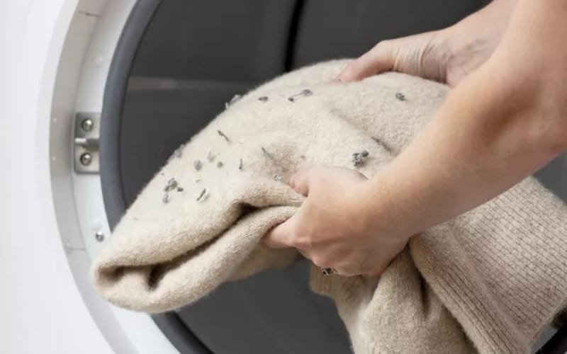 Why Dryer Smells Like Sewage?