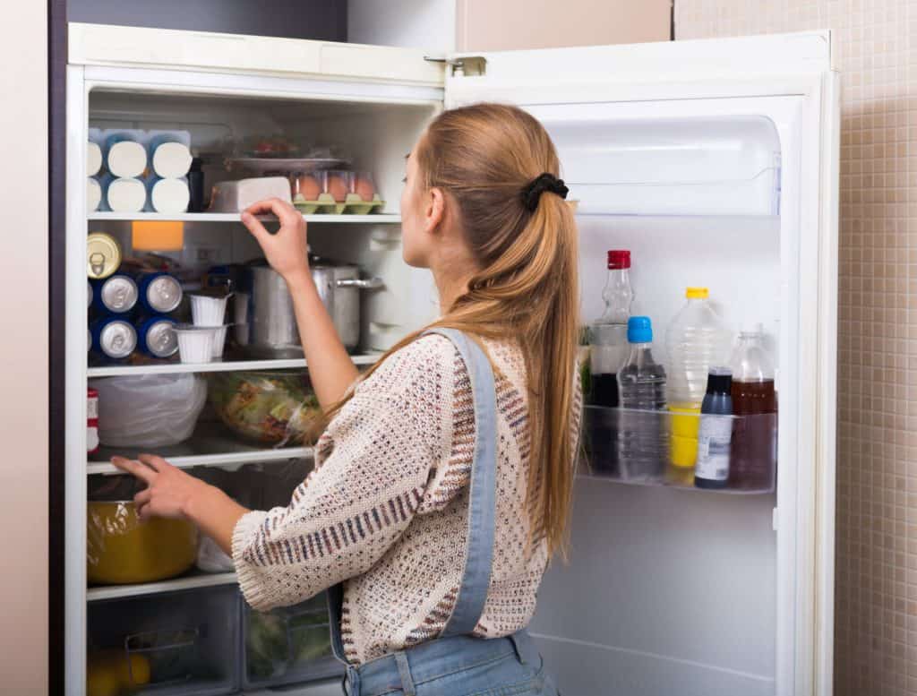 Does Fridge Need To Be Level And Why?