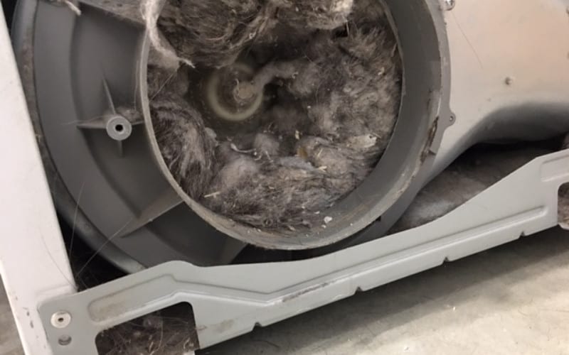 Why Amana Dryer Won&#8217;t Spin And Just Hums? Troubleshooting Guide