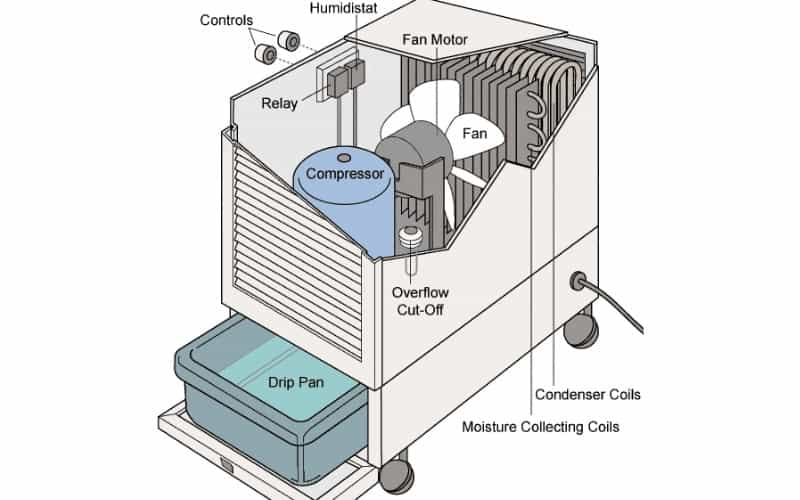 Why Dehumidifier Fan Is Not Working? Troubleshooting Guide